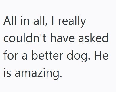 All in all, I really couldn't have asked for a better dog. He is amazing.