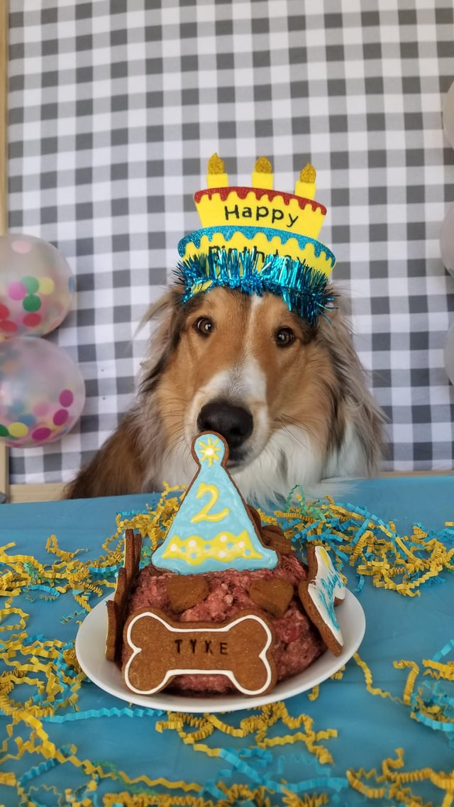 Happy TYKE