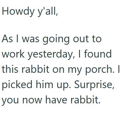 Howdy y'all, As I was going out to work yesterday, I found this rabbit on my porch. I picked him up. Surprise, you now have rabbit.