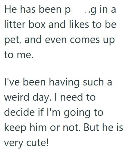 He has been pg in a litter box and likes to be pet, and even comes up to me. I've been having such a weird day. I need to decide if I'm going to keep him or not. But he is very cute!