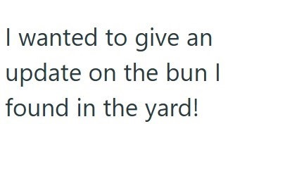I wanted to give an update on the bun I found in the yard!