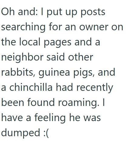 Oh and: I put up posts searching for an owner on the local pages and a neighbor said other rabbits, guinea pigs, and a chinchilla had recently been found roaming. I have a feeling he was dumped :(