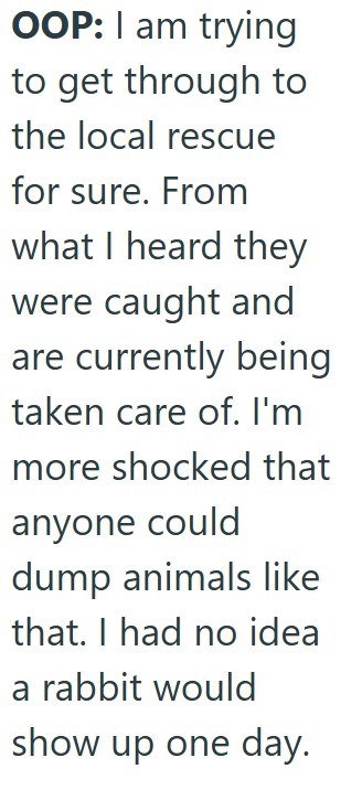 OOP: I am trying to get through to the local rescue for sure. From what I heard they were caught and are currently being taken care of. I'm more shocked that anyone could dump animals like that. I had no idea a rabbit would show up one day.