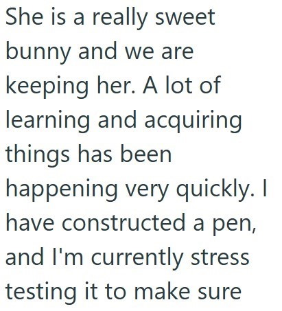 She is a really sweet bunny and we are keeping her. A lot of learning and acquiring things has been happening very quickly. I have constructed a pen, and I'm currently stress testing it to make sure