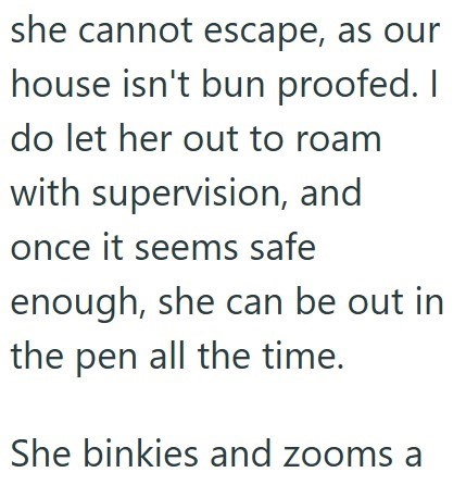 she cannot escape, as our house isn't bun proofed. I do let her out to roam with supervision, and once it seems safe enough, she can be out in the pen all the time. She binkies and zooms a