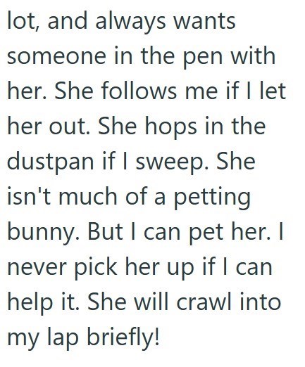 lot, and always wants someone in the pen with her. She follows me if I let her out. She hops in the dustpan if I sweep. She isn't much of a petting bunny. But I can pet her. I never pick her up if I can help it. She will crawl into my lap briefly!