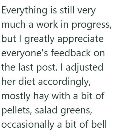 Everything is still very much a work in progress, but I greatly appreciate everyone's feedback on the last post. I adjusted her diet accordingly, mostly hay with a bit of pellets, salad greens, occasionally a bit of bell