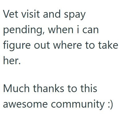 Vet visit and spay pending, when i can figure out where to take her. Much thanks to this awesome community :)