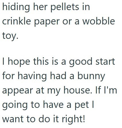 hiding her pellets in crinkle paper or a wobble toy. I hope this is a good start for having had a bunny appear at my house. If I'm going to have a pet I want to do it right!