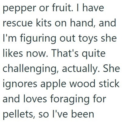 pepper or fruit. I have rescue kits on hand, and I'm figuring out toys she likes now. That's quite challenging, actually. She ignores apple wood stick and loves foraging for pellets, so I've been