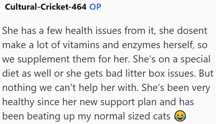 Cultural-Cricket-464 OP She has a few health issues from it, she dosent make a lot of vitamins and enzymes herself, so we supplement them for her. She's on a special diet as well or she gets bad litter box issues. But nothing we can't help her with. She's been very healthy since her new support plan and has been beating up my normal sized cats