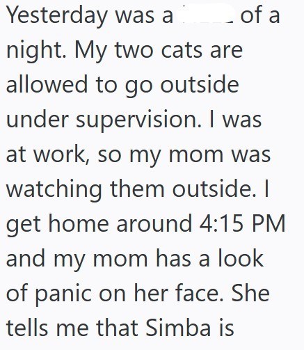 Yesterday was a night. My two cats are of a allowed to go outside under supervision. I was at work, so my mom was watching them outside. I get home around 4:15 PM and my mom has a look of panic on her face. She tells me that Simba is
