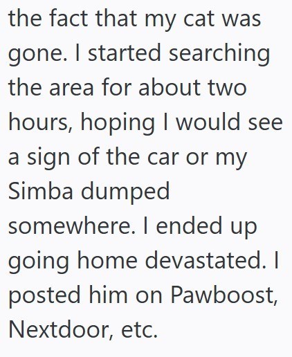 the fact that my cat was gone. I started searching the area for about two hours, hoping I would see a sign of the car or my Simba dumped somewhere. I ended up going home devastated. I posted him on Pawboost, Nextdoor, etc.