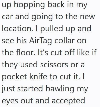 up hopping back in my car and going to the new location. I pulled up and see his AirTag collar on the floor. It's cut off like if they used scissors or a pocket knife to cut it. I just started bawling my eyes out and accepted