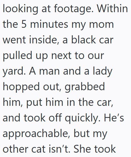 looking at footage. Within the 5 minutes my mom went inside, a black car pulled up next to our yard. A man and a lady hopped out, grabbed him, put him in the car, and took off quickly. He's approachable, but my other cat isn't. She took
