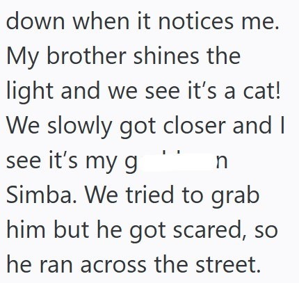 down when it notices me. My brother shines the light and we see it's a cat! We slowly got closer and I see it's my gn Simba. We tried to grab him but he got scared, so he ran across the street.