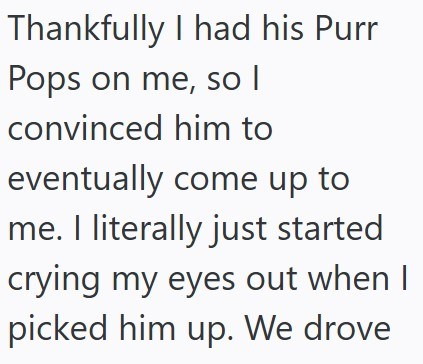 Thankfully I had his Purr Pops on me, so | convinced him to eventually come up to me. I literally just started crying my eyes out when I picked him up. We drove