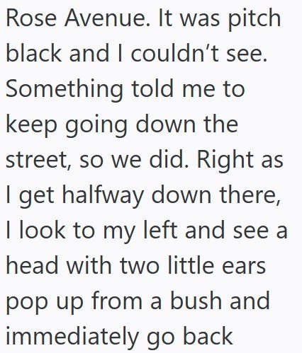 Rose Avenue. It was pitch black and I couldn't see. Something told me to keep going down the street, so we did. Right as I get halfway down there, I look to my left and see a head with two little ears pop up from a bush and immediately go back