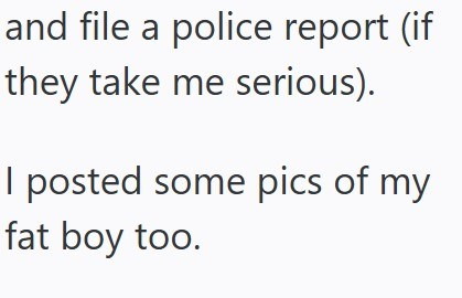 and file a police report (if they take me serious). I posted some pics of my fat boy too.