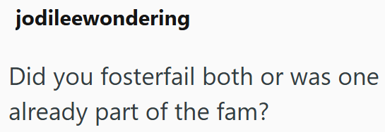 jodileewondering Did you fosterfail both or was one already part of the fam?