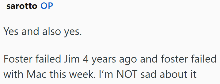 sarotto OP Yes and also yes. Foster failed Jim 4 years ago and foster failed with Mac this week. I'm NOT sad about it