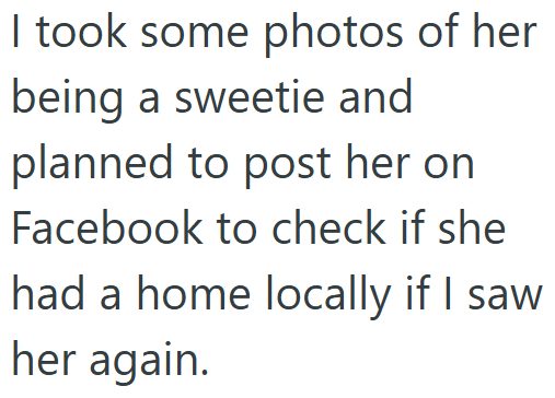 I took some photos of her being a sweetie and planned to post her on Facebook to check if she had a home locally if I saw her again.