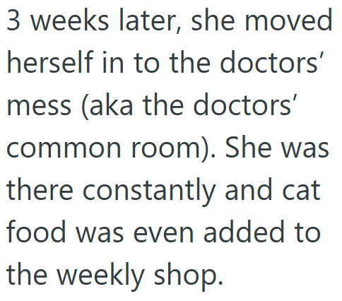 3 weeks later, she moved herself in to the doctors' mess (aka the doctors' common room). She was there constantly and cat food was even added to the weekly shop.