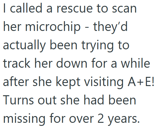 I called a rescue to scan - her microchip they'd actually been trying to track her down for a while after she kept visiting A+E! Turns out she had been missing for over 2 years.