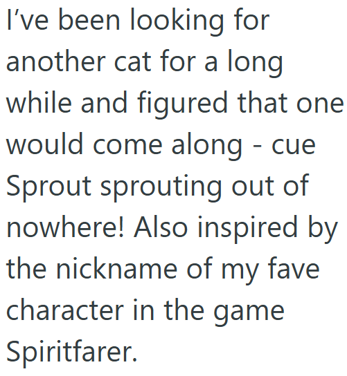I've been looking for another cat for a long while and figured that one would come along - cue Sprout sprouting out of nowhere! Also inspired by the nickname of my fave character in the game Spiritfarer.