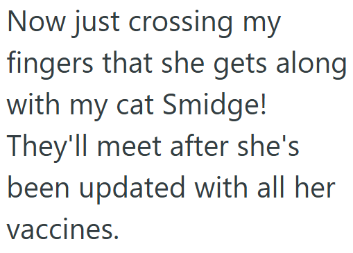 Now just crossing my fingers that she gets along with my cat Smidge! They'll meet after she's been updated with all her vaccines.