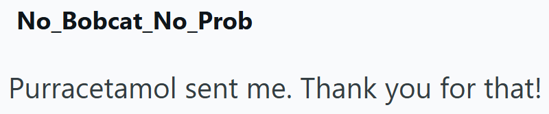 No_Bobcat_No_Prob Purracetamol sent me. Thank you for that!