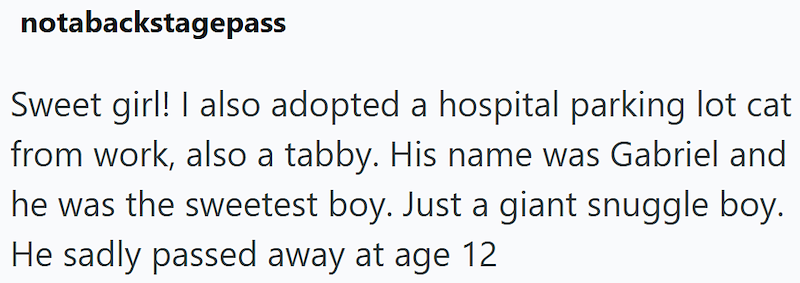 notabackstagepass Sweet girl! I also adopted a hospital parking lot cat from work, also a tabby. His name was Gabriel and he was the sweetest boy. Just a giant snuggle boy. He sadly passed away at age 12