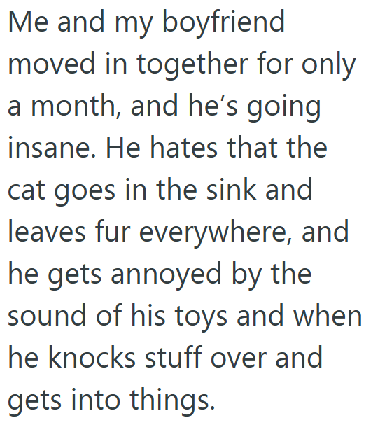 Me and my boyfriend moved in together for only a month, and he's going insane. He hates that the cat goes in the sink and leaves fur everywhere, and he gets annoyed by the sound of his toys and when he knocks stuff over and gets into things.