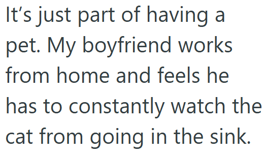 It's just part of having a pet. My boyfriend works from home and feels he has to constantly watch the cat from going in the sink.