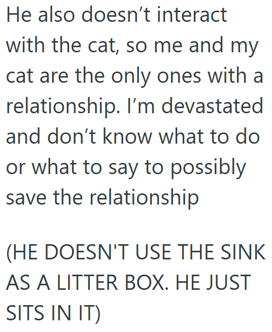 He also doesn't interact with the cat, so me and my cat are the only ones with a relationship. I'm devastated and don't know what to do or what to say to possibly save the relationship (HE DOESN'T USE THE SINK AS A LITTER BOX. HE JUST SITS IN IT)