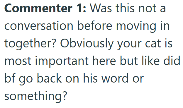 Commenter 1: Was this not a conversation before moving in together? Obviously your cat is most important here but like did bf go back on his word or something?