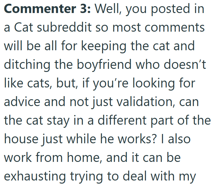 Commenter 3: Well, you posted in a Cat subreddit so most comments will be all for keeping the cat and ditching the boyfriend who doesn't like cats, but, if you're looking for advice and not just validation, can the cat stay in a different part of the house just while he works? I also work from home, and it can be exhausting trying to deal with my
