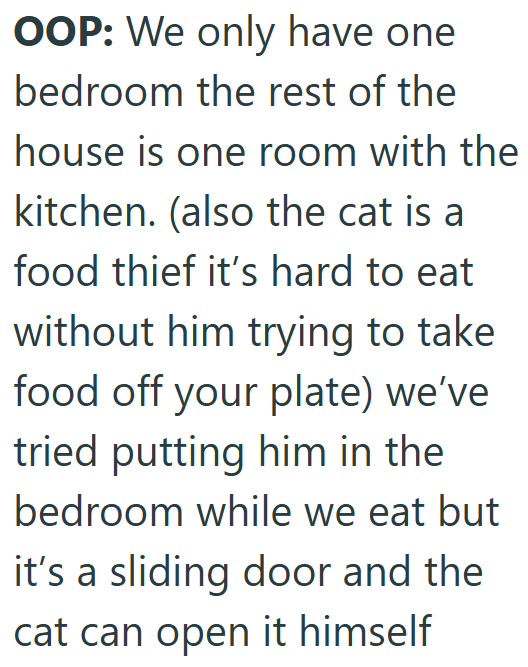 OOP: We only have one bedroom the rest of the house is one room with the kitchen. (also the cat is a food thief it's hard to eat without him trying to take food off your plate) we've tried putting him in the bedroom while we eat but it's a sliding door and the cat can open it himself