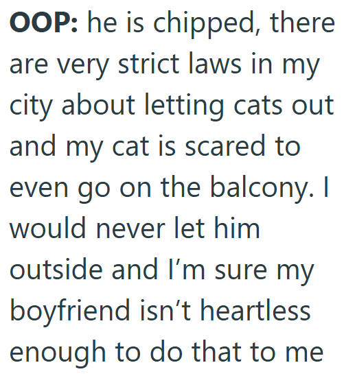 OOP: he is chipped, there are very strict laws in my city about letting cats out and my cat is scared to even go on the balcony. I would never let him outside and I'm sure my boyfriend isn't heartless. enough to do that to me