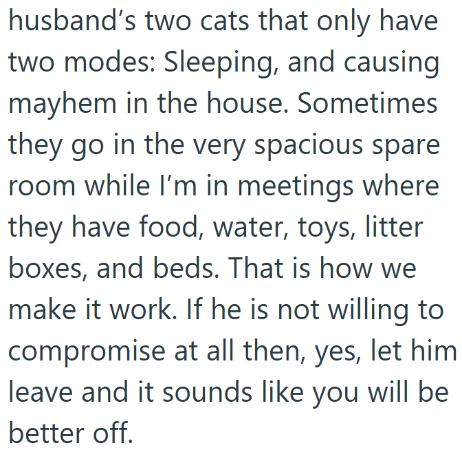 husband's two cats that only have two modes: Sleeping, and causing mayhem in the house. Sometimes they go in the very spacious spare room while I'm in meetings where they have food, water, toys, litter boxes, and beds. That is how we make it work. If he is not willing to compromise at all then, yes, let him leave and it sounds like you will be better off.