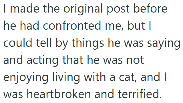 I made the original post before he had confronted me, but I could tell by things he was saying and acting that he was not enjoying living with a cat, and I was heartbroken and terrified.