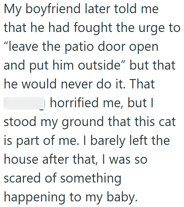 My boyfriend later told me that he had fought the urge to "leave the patio door open and put him outside" but that he would never do it. That horrified me, but I stood my ground that this cat is part of me. I barely left the house after that, I was so scared of something happening to my baby.