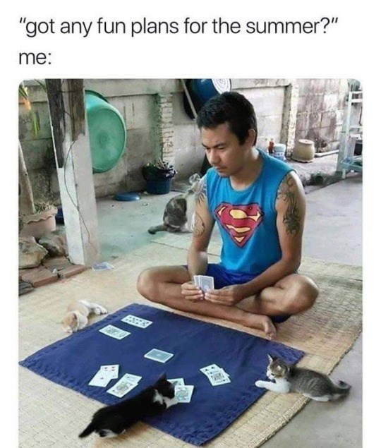 "got any fun plans for the summer?" me: