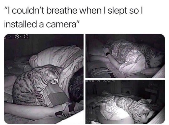 "I couldn't breathe when I slept so I installed a camera" 1: 19: 17 2019-01-29 05:50:91