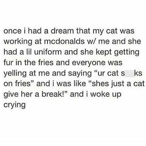 once i had a dream that my cat was working at mcdonalds w/ me and she had a lil uniform and she kept getting fur in the fries and everyone was yelling at me and saying "ur cat s ks on fries" and i was like "shes just a cat give her a break!" and i woke up crying