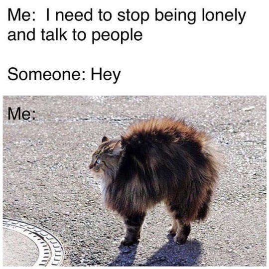 Me: I need to stop being lonely and talk to people Someone: Hey Me: