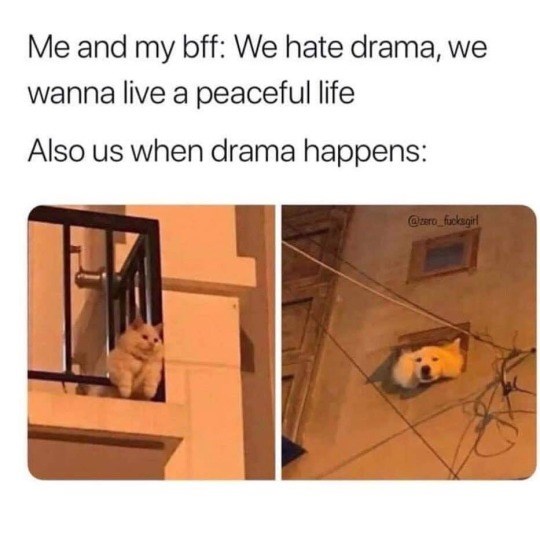 Me and my bff: We hate drama, we wanna live a peaceful life Also us when drama happens: @zero_fucksgirl