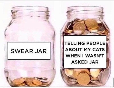 SWEAR JAR TELLING PEOPLE ABOUT MY CATS WHEN I WASN'T ASKED JAR