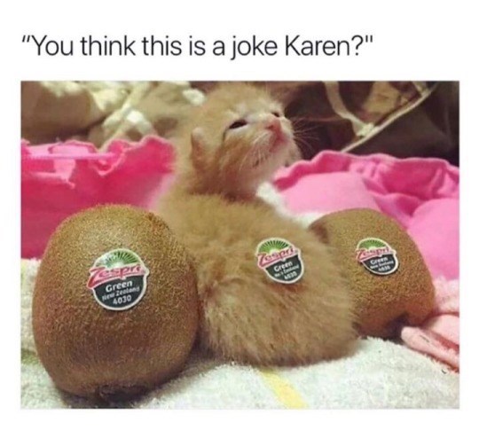 "You think this is a joke Karen?" Green New Zealan 4030 espr Green 6430