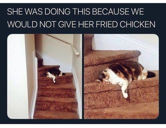 SHE WAS DOING THIS BECAUSE WE WOULD NOT GIVE HER FRIED CHICKEN